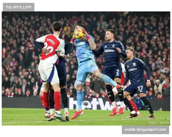 纽卡斯尔联队在英超联赛中的崛起与未来发展展望